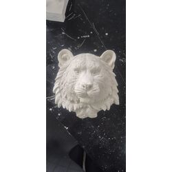 Duvara Asmalık Aslan Kafası