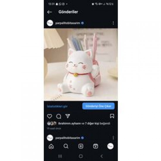 Kedi Ham Obje